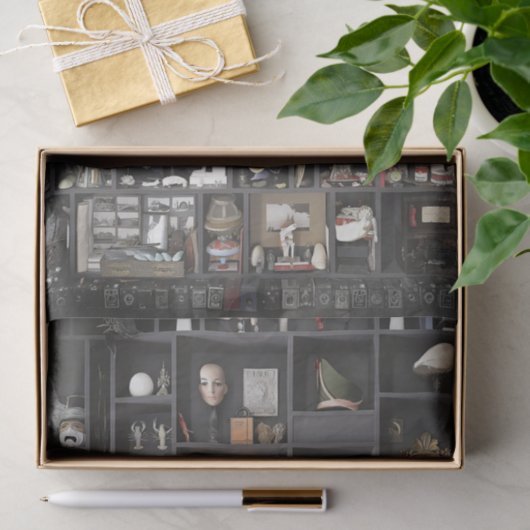 Kabinet van de Curiosities Shelves Tissuepapier (Geschenk)