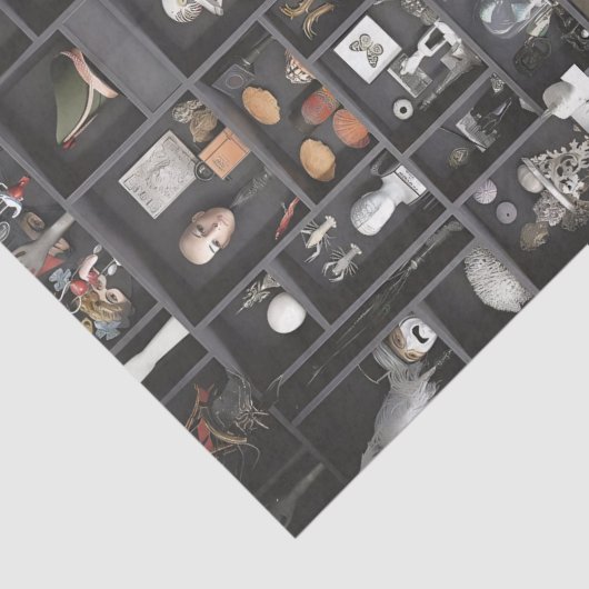 Kabinet van de Curiosities Shelves Tissuepapier (Detail)