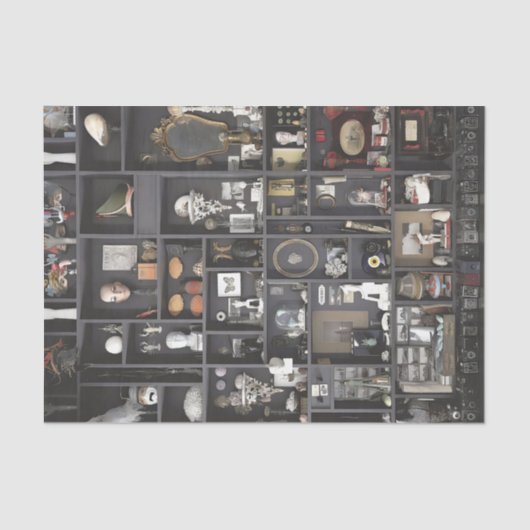 Kabinet van de Curiosities Shelves Tissuepapier (Voorkant)