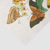 Kabinet van Oriental Entomology Pl XXII Tissuepapier (Detail)