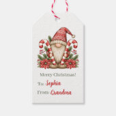 Kabouter Candy Cane Kerstcadeau-etiketten Cadeaulabel (Voorkant)