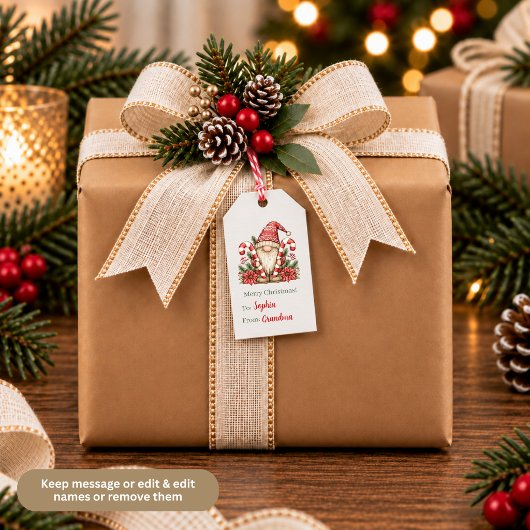 Kabouter Candy Cane Kerstcadeau-etiketten Cadeaulabel