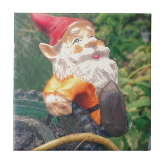 Kabouter Hangs Around Succulenten Tegeltje (Voorkant)