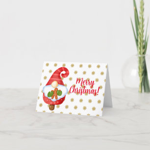 Kabouter Sinterklaas Feestdagen Kaart