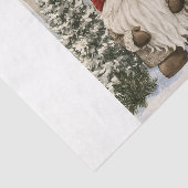 Kabouter Tissuepapier (Detail)