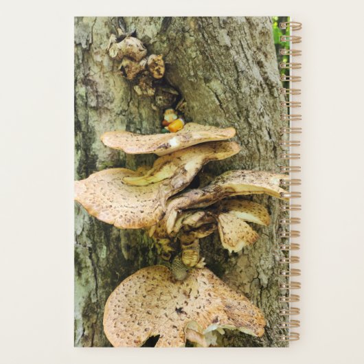 Kabouter Zakelijke Planner (Achterkant)