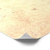 Kabuki Actor Iwai Shijaku 1830 Poster (Hoek)