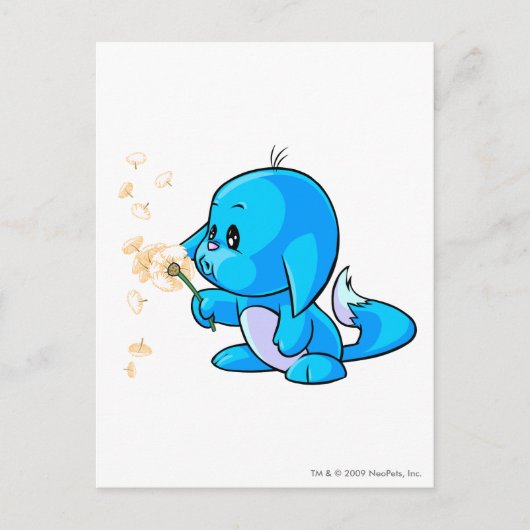 Kacheek Blue Briefkaart (Voorkant)