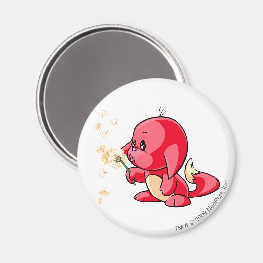 Kacheek Red Magneet (Voorkant / Achterkant)