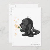 Kacheek Shadow Briefkaart (Voorkant / Achterkant)