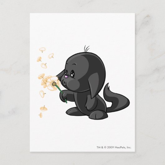 Kacheek Shadow Briefkaart (Voorkant)