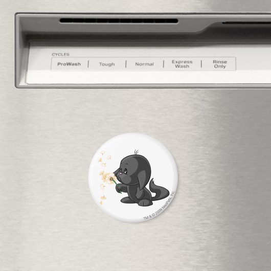 Kacheek Shadow Magneet (Insitu (Vaatwasser))