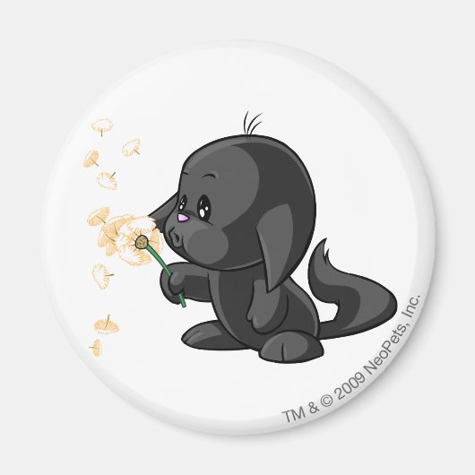 Kacheek Shadow Magneet (Voorkant)