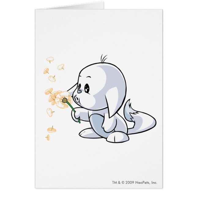 Kacheek White (Voorkant)