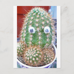 kactioog briefkaart