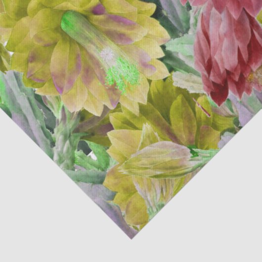 KACTUS, RODE PINKGEEL VAN STROOMSTROMEN TISSUEPAPIER (Detail)