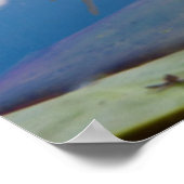 Kaddo-waterLily (Nymphaea Odorata) Poster (Hoek)