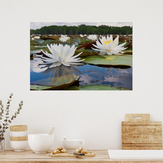 Kaddo-waterLily (Nymphaea Odorata) Poster (Keuken)