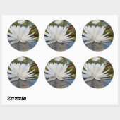 Kaddo-waterLily (Nymphaea Odorata) Ronde Sticker (Vel)