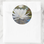 Kaddo-waterLily (Nymphaea Odorata) Ronde Sticker (Tas)