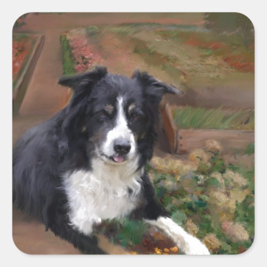 Kader Collie 2 Vierkante Sticker (Voorkant)