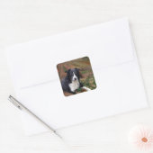 Kader Collie 2 Vierkante Sticker (Envelop)