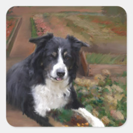 Kader Collie 2 Vierkante Sticker