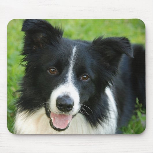 Kader Collie Dog toevoegen Tekstpakket Muismat (Voorkant)