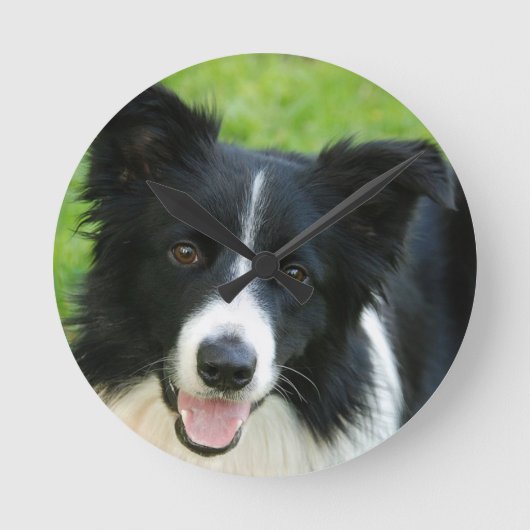 Kader Collie Dog toevoegen Tekstpakket Ronde Klok (Voorkant)