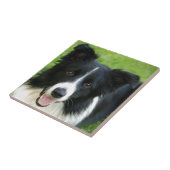 Kader Collie Dog toevoegen Tekstpakket Tegeltje (Zijkant)