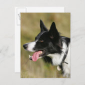 Kader voor het uitlijnen van het uiteinde 2 briefkaart (Voorkant / Achterkant)