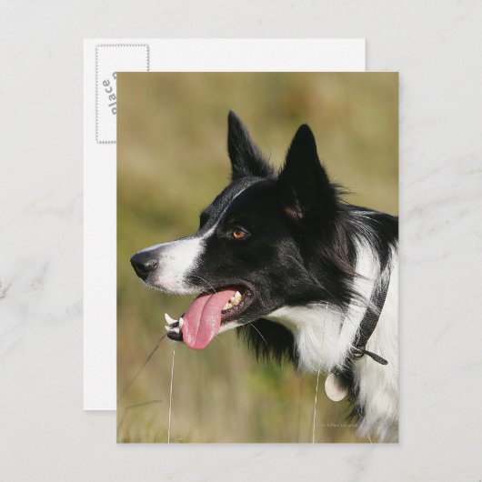 Kader voor het uitlijnen van het uiteinde 2 briefkaart (Voorkant / Achterkant)