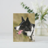 Kader voor het uitlijnen van het uiteinde 2 briefkaart (Staand voorkant)