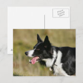 Kader voor het uitlijnen van het uiteinde 2 briefkaart (Voorkant / Achterkant)