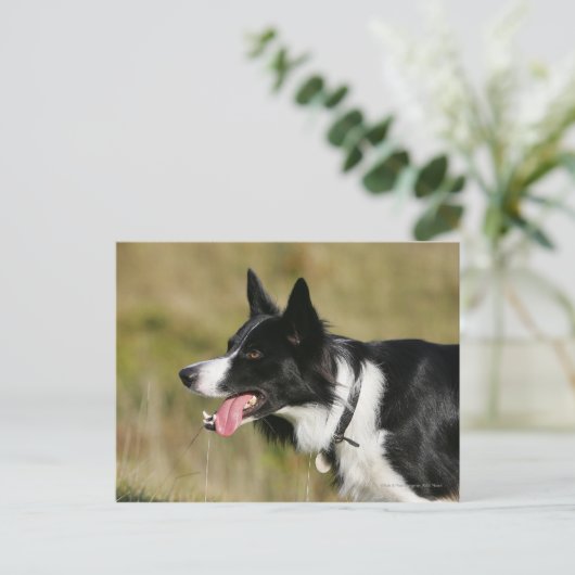 Kader voor het uitlijnen van het uiteinde 2 briefkaart (Staand voorkant)