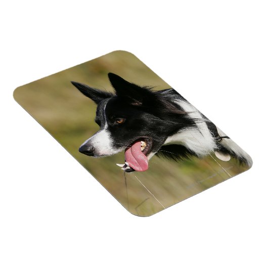 Kader voor het uitlijnen van het uiteinde 2 magneet (Rechterzijde)