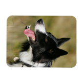 Kader voor het uitlijnen van het uiteinde 2 magneet (Horizontaal)