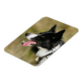 Kader voor het uitlijnen van het uiteinde 2 magneet (Linkerzijde)