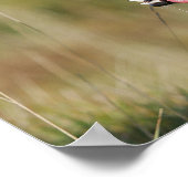 Kader voor het uitlijnen van het uiteinde 2 poster (Hoek)