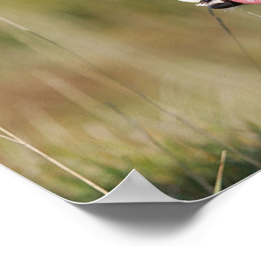 Kader voor het uitlijnen van het uiteinde 2 poster (Hoek)