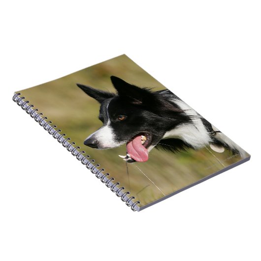 Kader voor het uitlijnen van het uiteinde notitieboek (Rechterzijde)