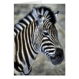 Kado's voor zebra liefhebbers