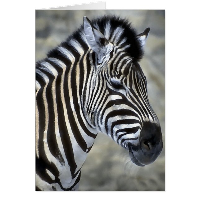 Kado's voor zebra liefhebbers (Voorkant)