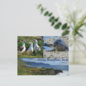 Kaena Point State Park, Oahu, Hawaii Briefkaart (Staand voorkant)