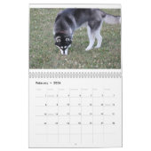 Kaeru The Husky Calendar Kalender (Feb 2026)