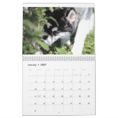 Kaeru The Husky Calendar Kalender (Jan 2027)