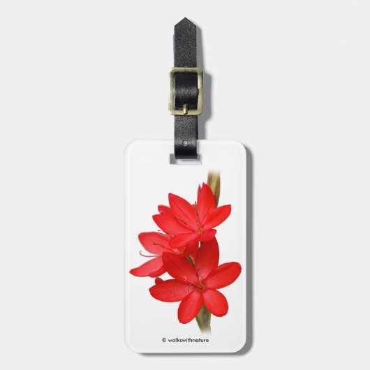 Kaffir Lily/River Lily/Hesperantha Coccinea Bagagelabel (Voorkant verticaal)
