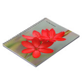 Kaffir Lily/River Lily/Hesperantha Coccinea Notitieboek (Linkerzijde)