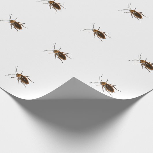 Kafka Cadeaupapier (Hoek)