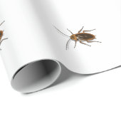 Kafka Cadeaupapier (Rol Hoek)